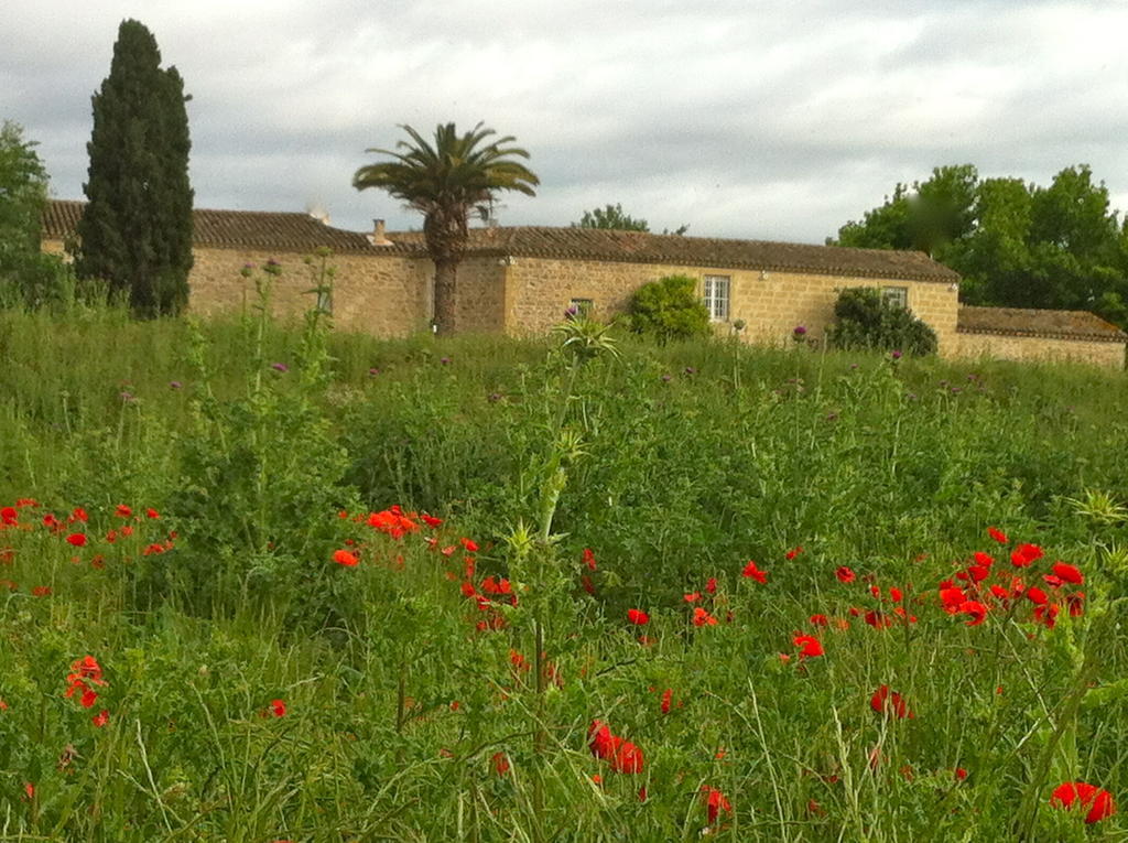 فندق Le Moulin De Saint Laurent المظهر الخارجي الصورة